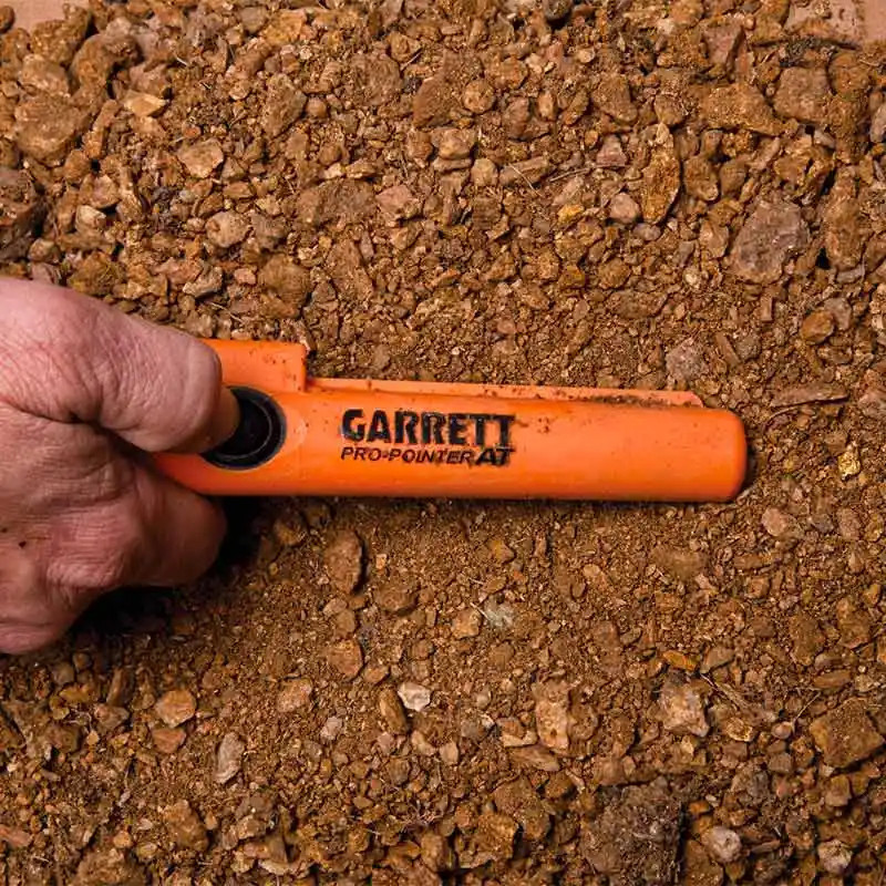 Pointer Garrett Pro Pointer AT - DDis