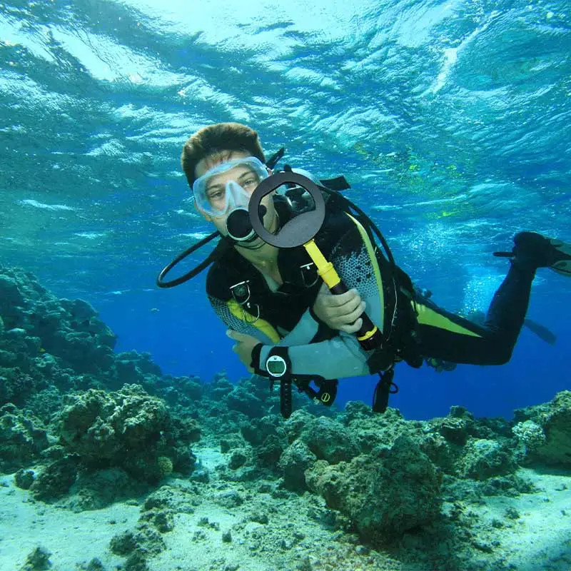 Nokta Pulse Dive - DDis