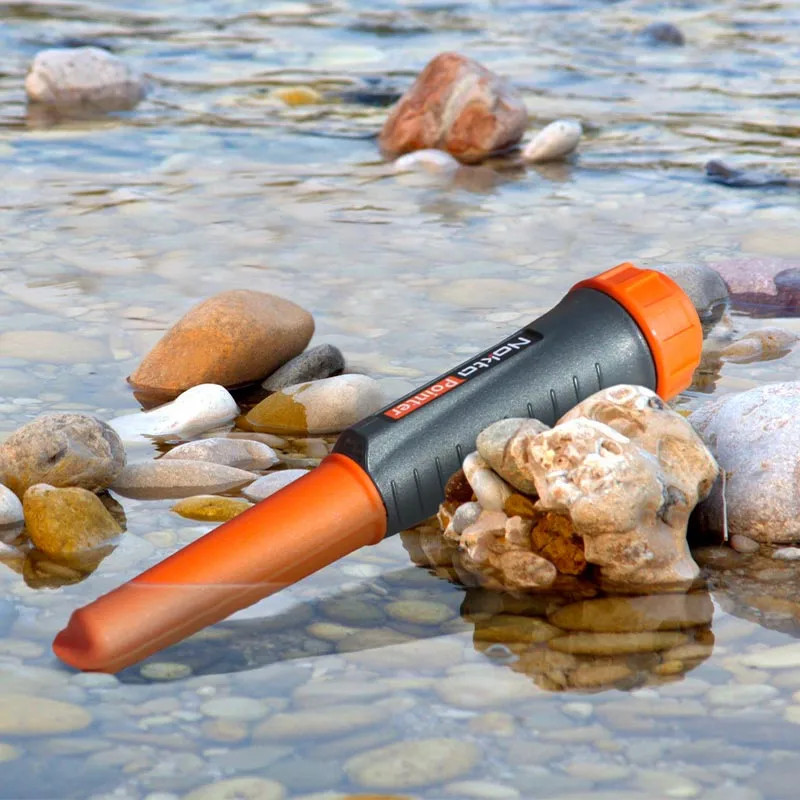 Nokta Pointer - DDis