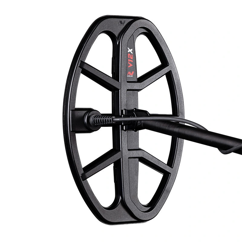 Détecteur Minelab X-Terra Pro - DDis